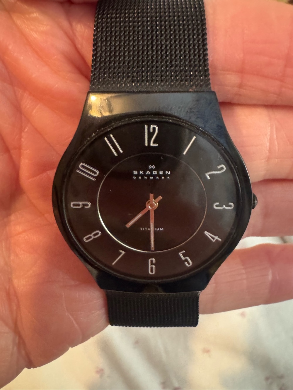Skagen Women’s Black Titanium Mesh Watch with Minimal Dial